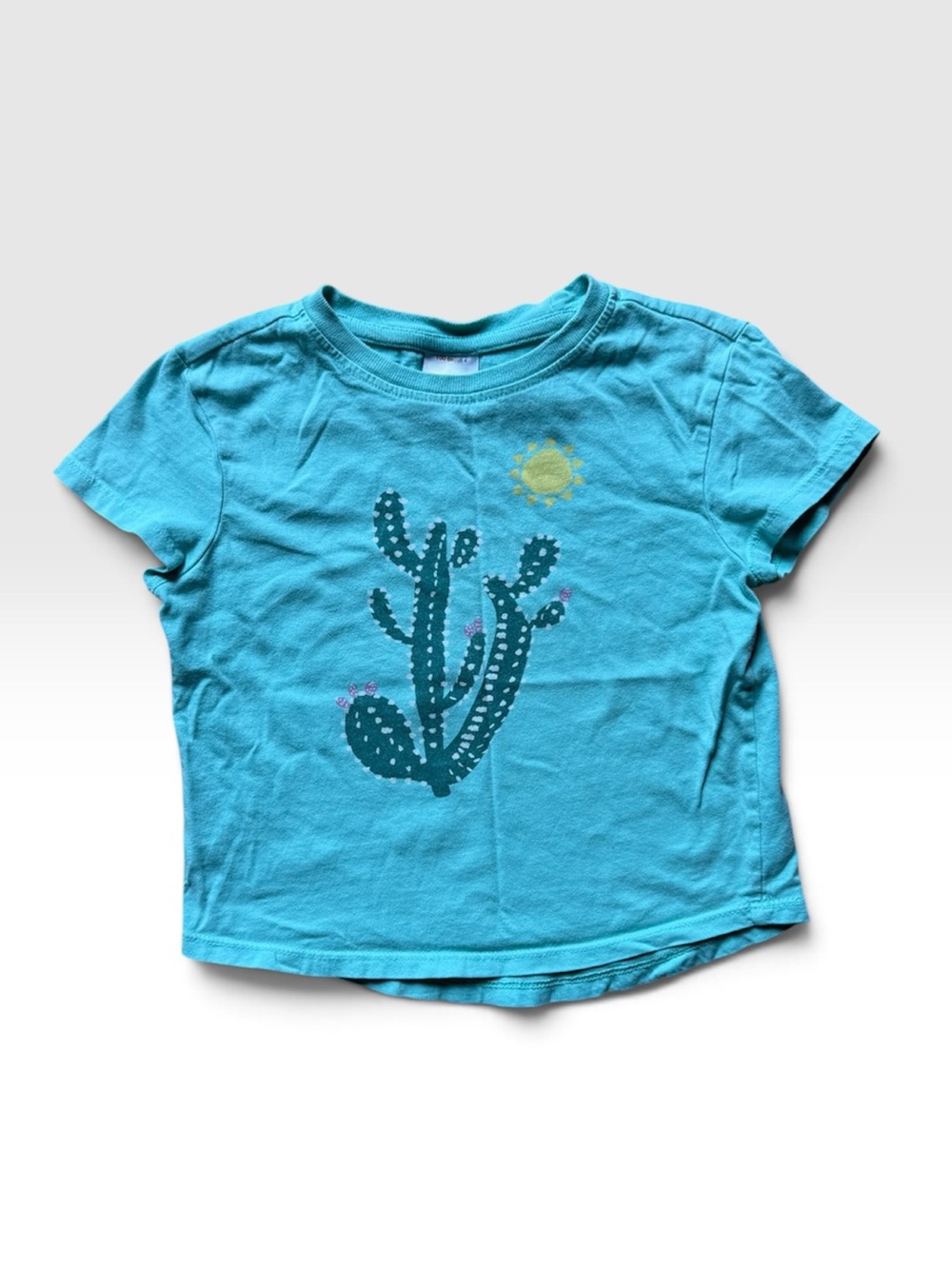 Hanna Andersson Cactus T-Shirt (4T/100cm)